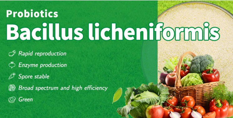 Probiotic Licheniformis