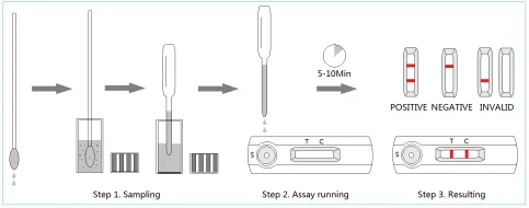 Cheapest price Factory price Vet Canine Parvo Virus Antigen Test CPV Ag Test pet test kit