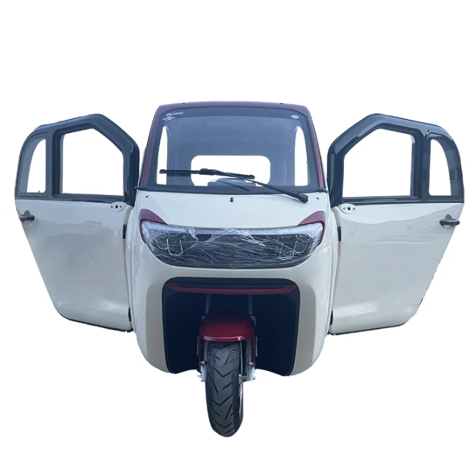 Discount Price Enclosed 3 wheel electric car Touch Screen scooter adult electric tricycle tuk New energy