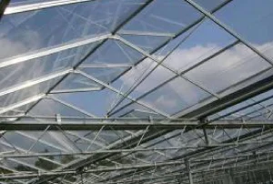 Good Price Agricultural Polycarbonate Plastic Board PC Sheet Greenhouse with Customized Hydroponic Design