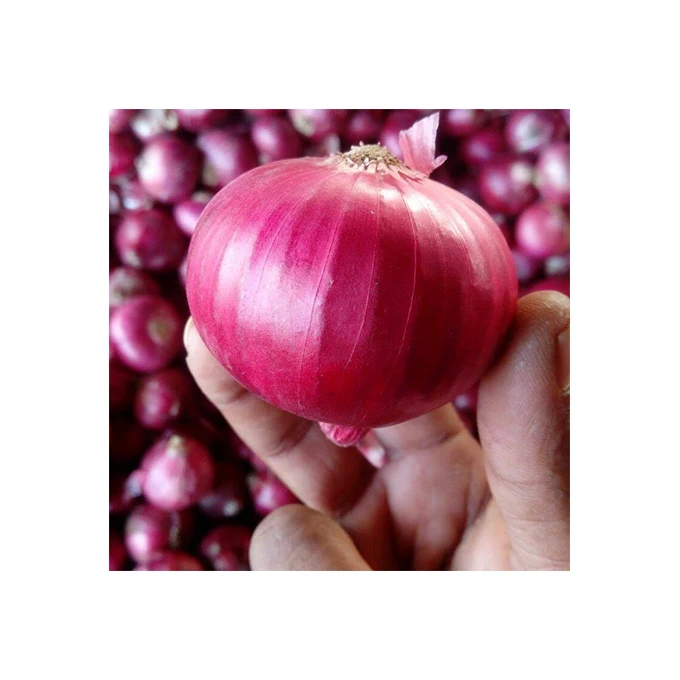 Fresh Produce Vegetable Importers Price Red Onions From South Africa