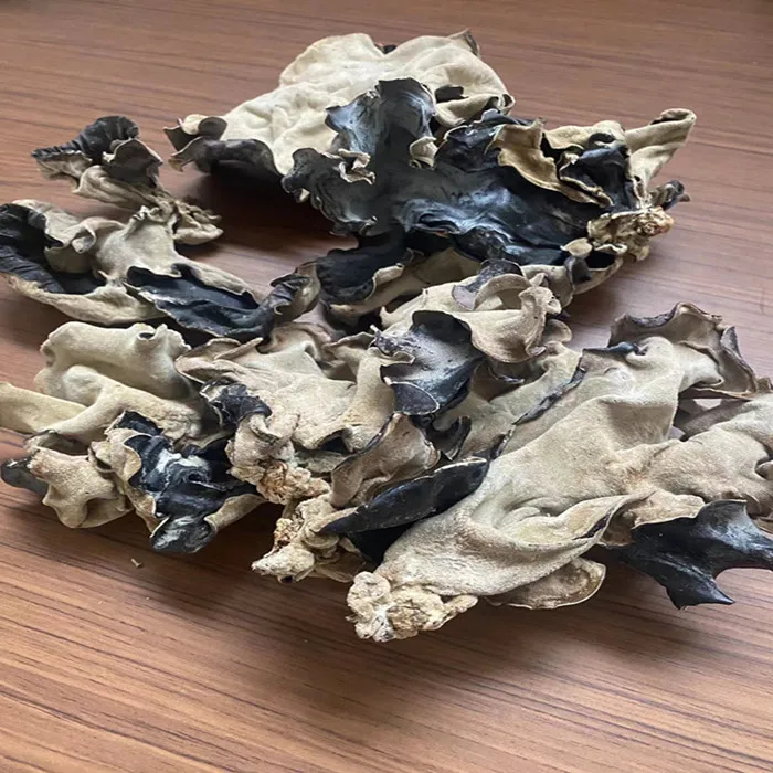 FRESH ORGANIC DRIED BLACK FUNGUS MUSHROOM IN CHINA GRADE A * HOT* HOT*HOT* 2023 FUNGUS