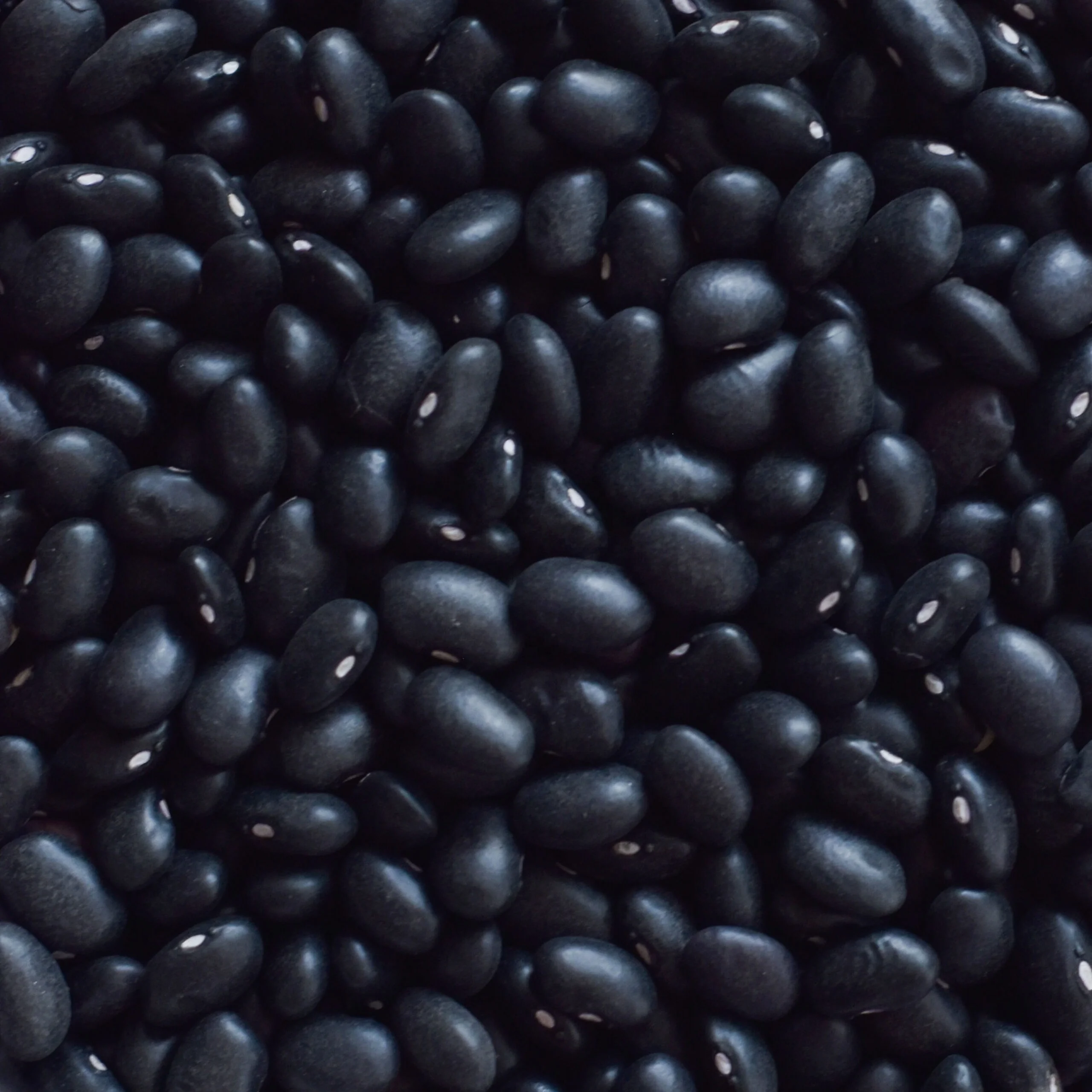 Черная фасоль продукта