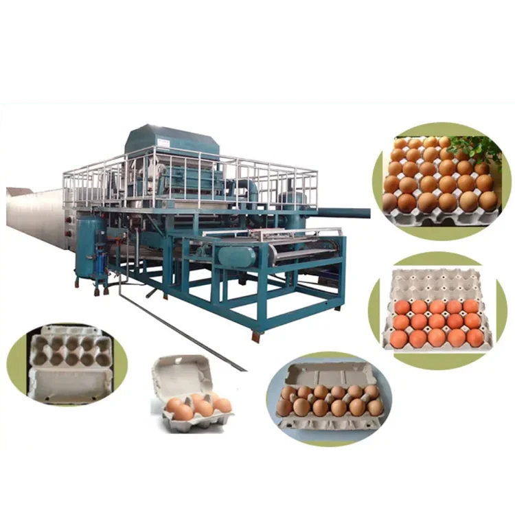 Biodegradable Egg Tray Paper Recycling Manufacturing Machine Waste Paper Pulp Egg Tray