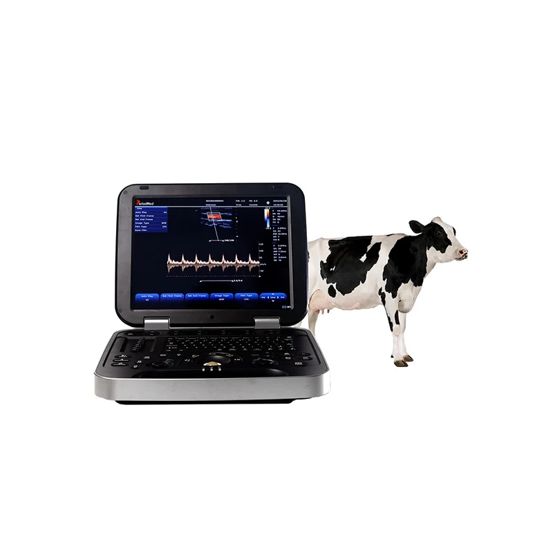 YD-VL8 Veterinary Color Doppler Laptop Ultrasound Diagnosis Instrument 3D 4D Animal Ultrasound Scanner