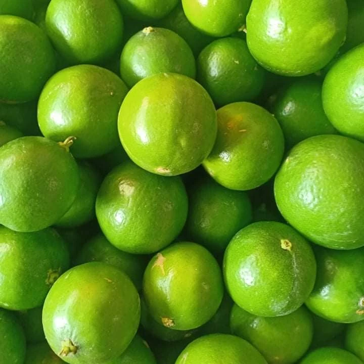 Новый продукт оптовая продажа 2023 Вьетнам лимон без косточек лайм свежий зеленый готовый к отправке 5 кг 6 8 коробка по запросу