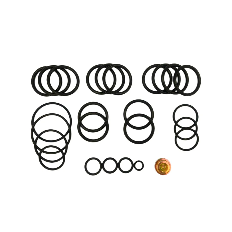 American Standard AS568 British Standard BS1806 Number 10 BP3 SEC Redress Kits For Downhole Tools
