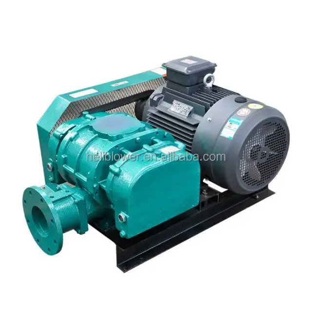 Lake aeration system root blower compressors for wastewater treatment