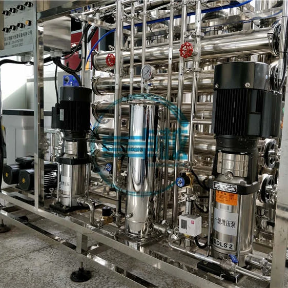0.5M3/H Double Stage RO System Pharmaceutical Water Treatment Plant or System SS304/316 GMPRO