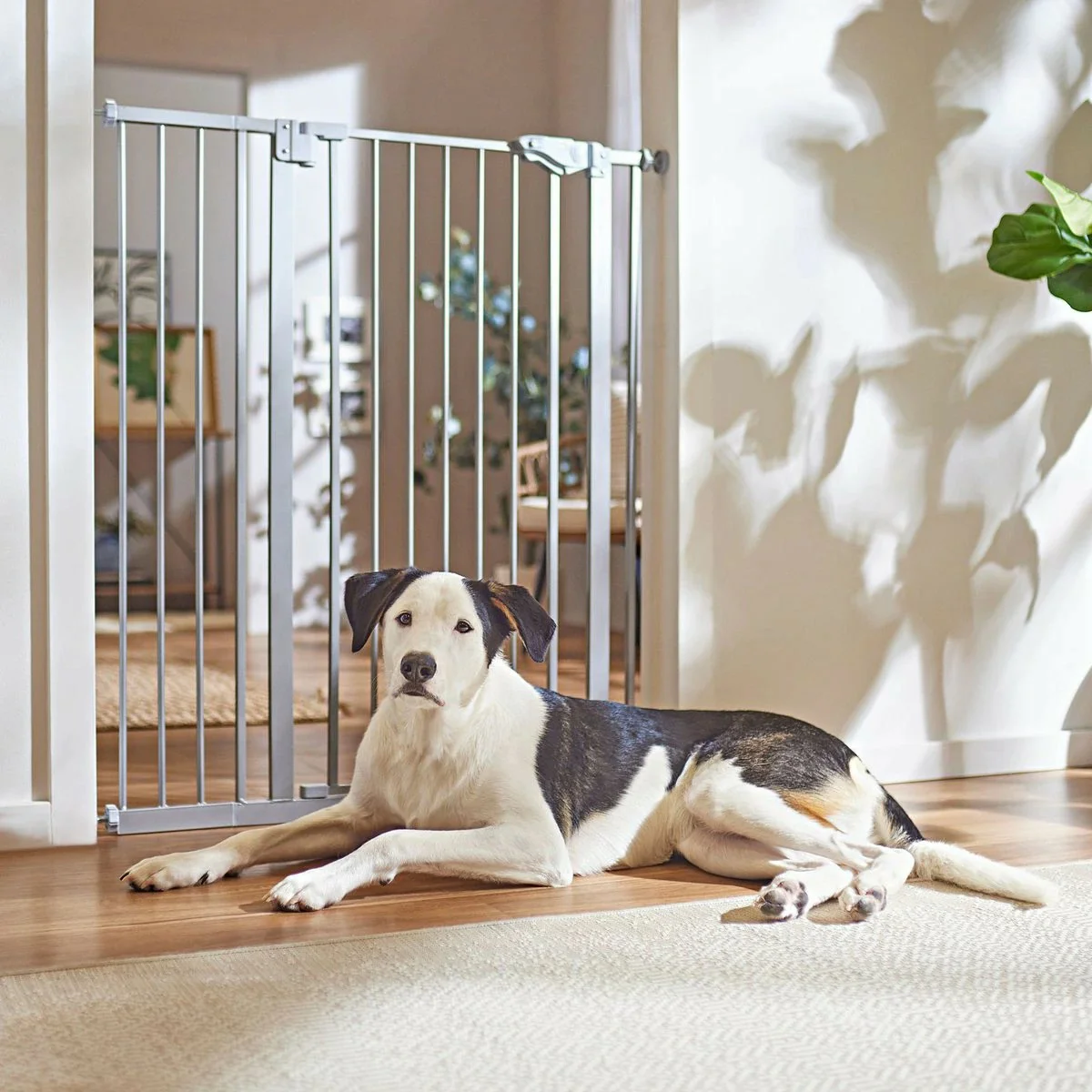 Modern pressure mounted expandable pet dog gate fence safety enclosure pet supplies indoor fence pet door