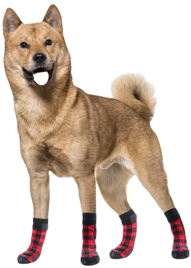 dog socks (6).jpg