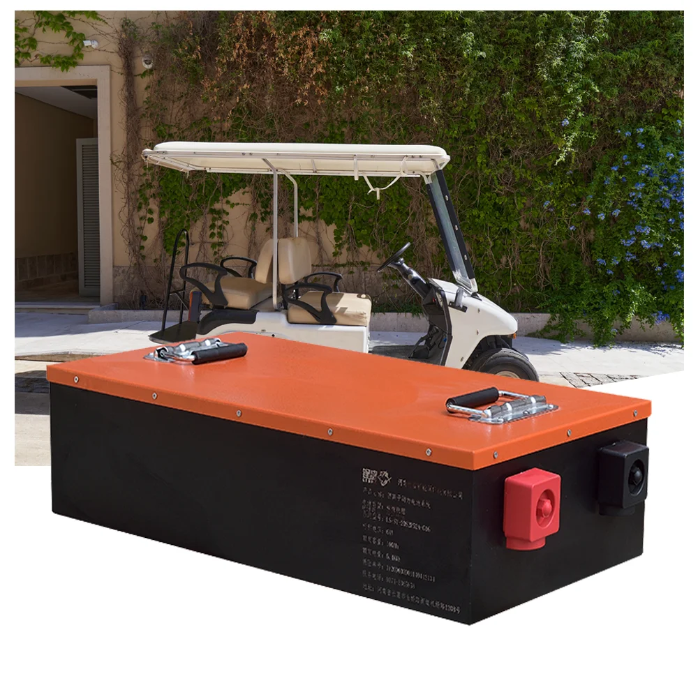 Lisha Good Price New Trend LiFePO4 Battery Pack 60V/64V 100Ah Power Battery Power System Lithium ion Battery Pack