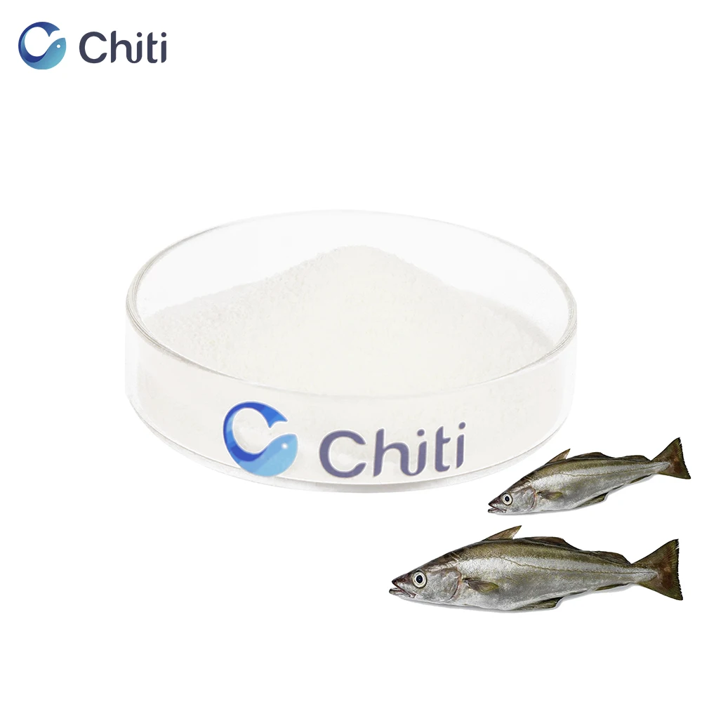 Chiti Manufacture Collagen Peptides Fish Powder for Skin Elasticity collagen skin care  fish Scale collagen protein