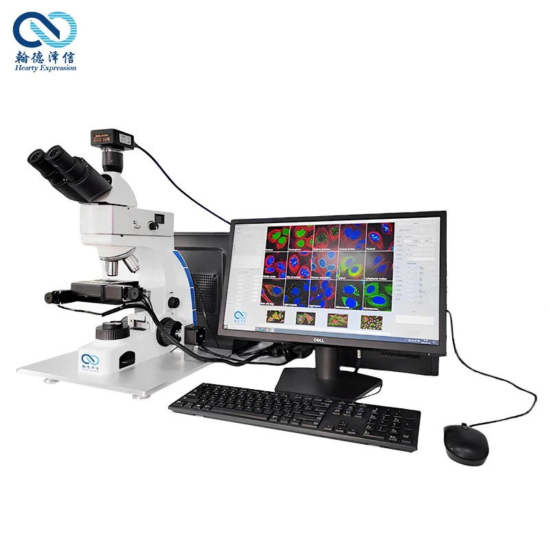 portable digital fully automatic artificial intelligence  fluorescent microscope