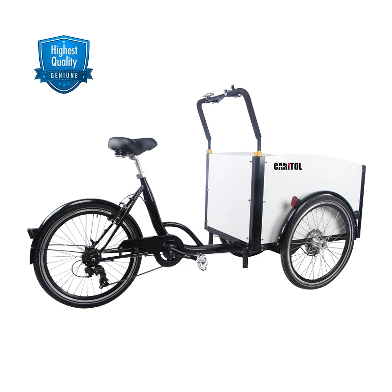 3 Wheel Tricycle Freezer Cooler Food Cart With Umbrella Ice Cream Bike For Sale