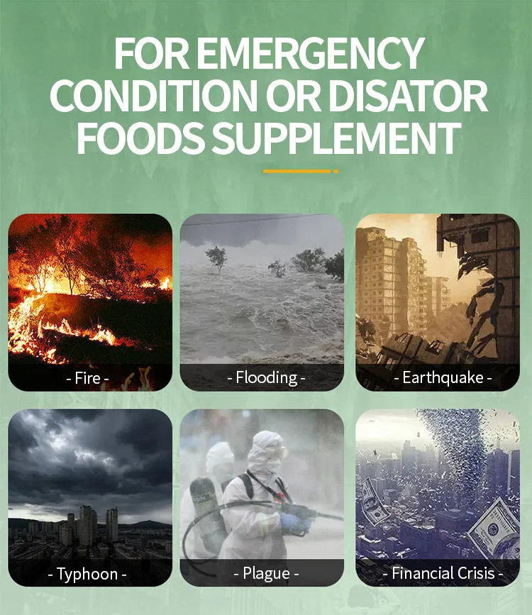 1560g ready to eat emergency foods freeze dried chicken rice freeze dry rice