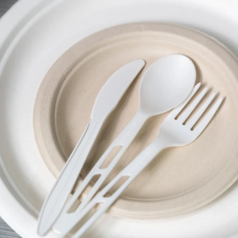 wholesale biodegradable sugarcane tableware disposable bagasse 10 inch compostable paper plates