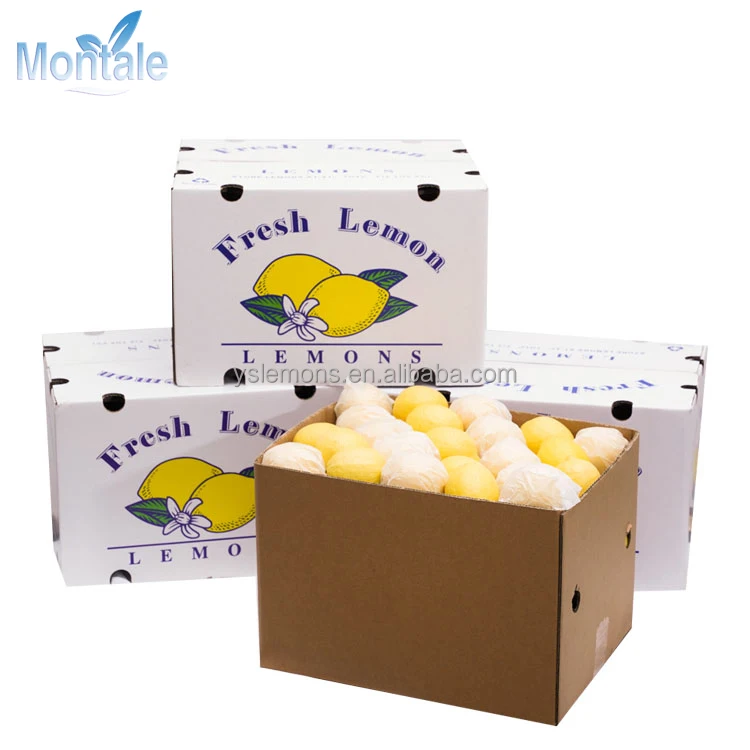 Best Prices For Montale Fresh Lemon Verna Fresh Lime Lemon Turkey Manufacturers