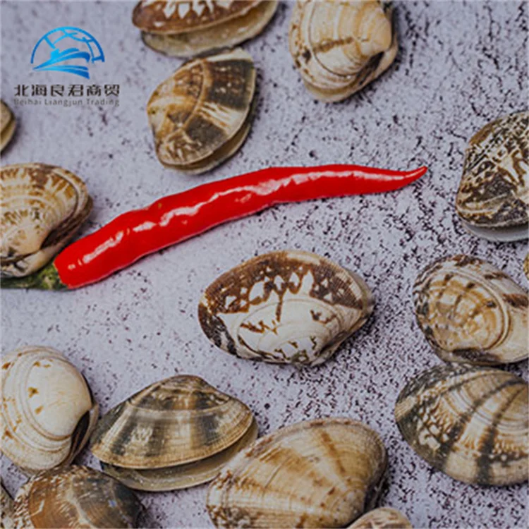 Hot selling high-quality frozen shellfish clams delicious seafood fresh frozen boiled clam meat