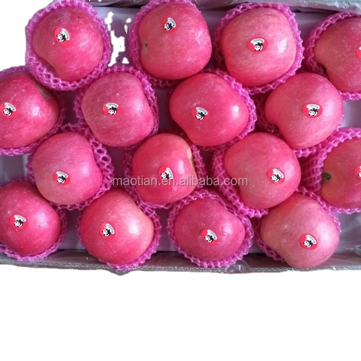 
Price for Fresh Apple from Yantai china 