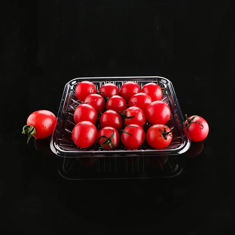plastic disposable food boxes clear PET fruit containers take out food plastic box packaging