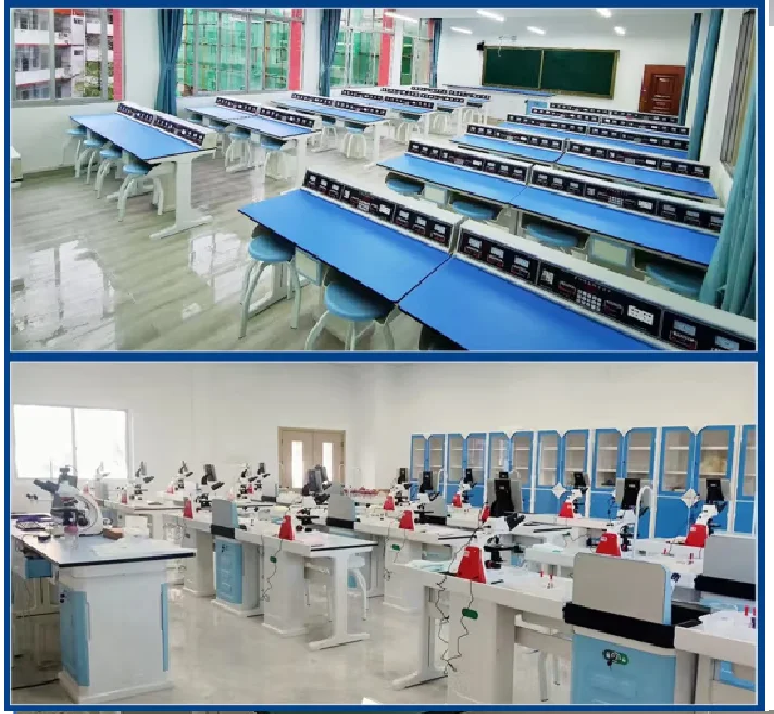 Chinese Style High Quality School Chemistry Biological Laboratory Furniture Lab Table Bench With Lift Stool