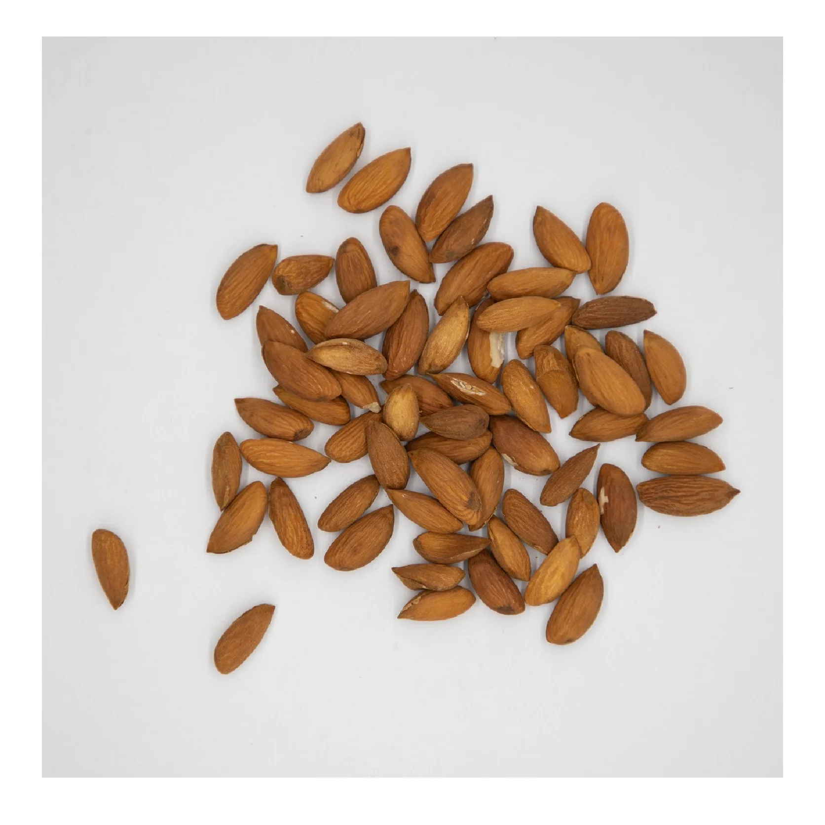 Healthy snack top grade organic almond kernels shelled almonds nuts in bulk from Uzbekistan manufacturer