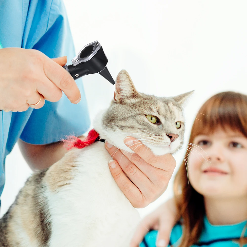 HONSUN HS-OT10J Portable Veterinary ENT Otoscope Endoscope