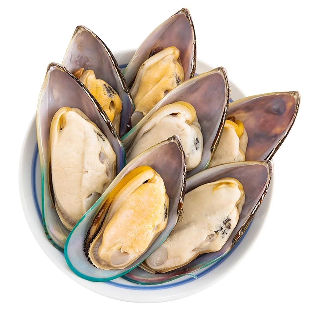 Frozen Green Mussels meat Whole