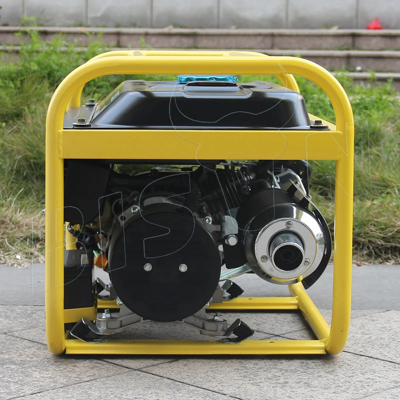 Bison ( China ) 2Kva 2 Kva 2Kv 2000W 2Kw 6.5hp Biogas Electric Portable Petrol Gasoline Generators Price