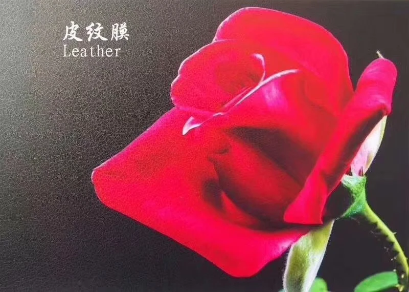 Photobook PVC Holographic Film Moisture-Proof Paper Decorative Adhesive Cold Lamination Film for Photos and Crafts