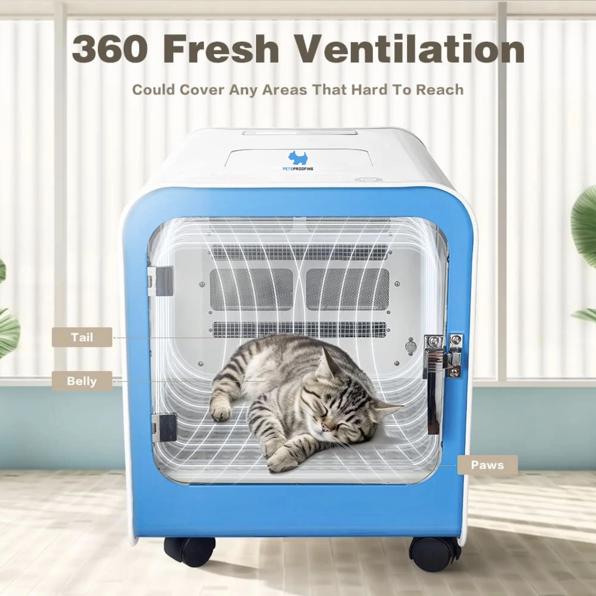 Automatic Low Noise Dog and Cat Pet Grooming Hair Dryer Plastic Box Room Drying Machine Air Blower Dryers for Pets
