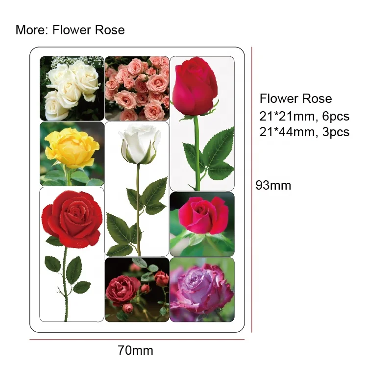 RTS epoxy magnet-018.jpg