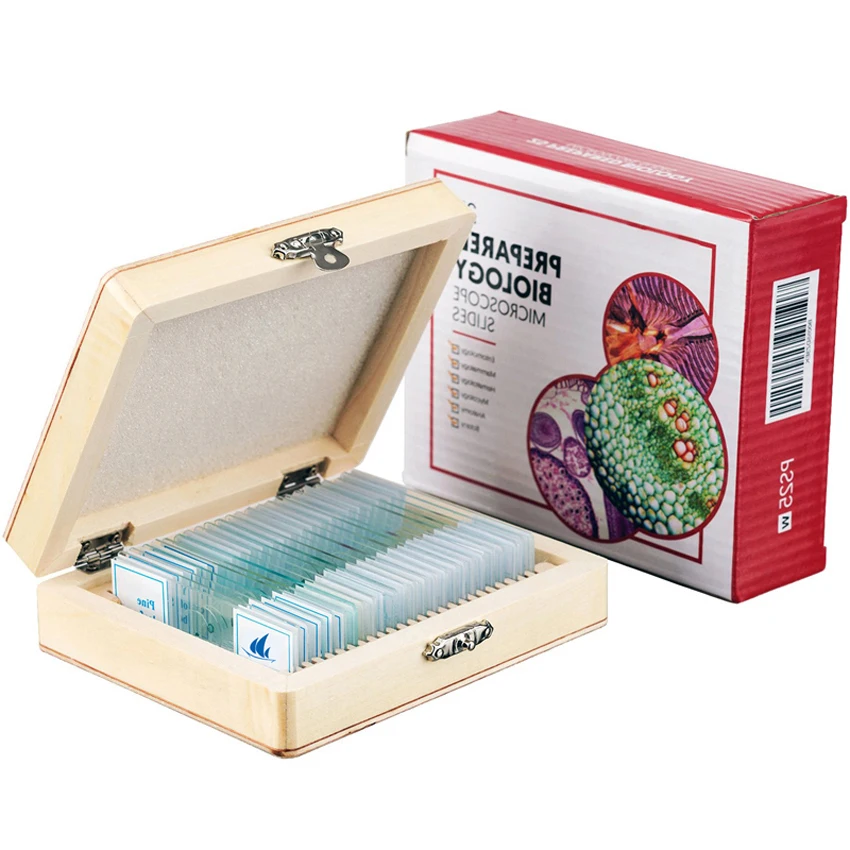 medical education used prepared plant cell Microscope biological teaching slides