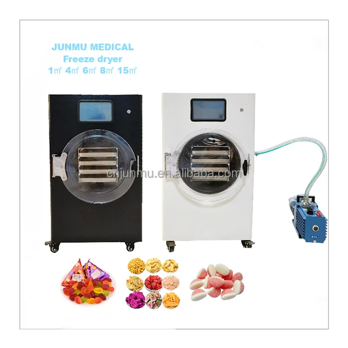 Vacuum Pump/ Small Lab Laboratory Home Use Vacuum Freeze Dryer Price Mini Lypholizers Machine Price