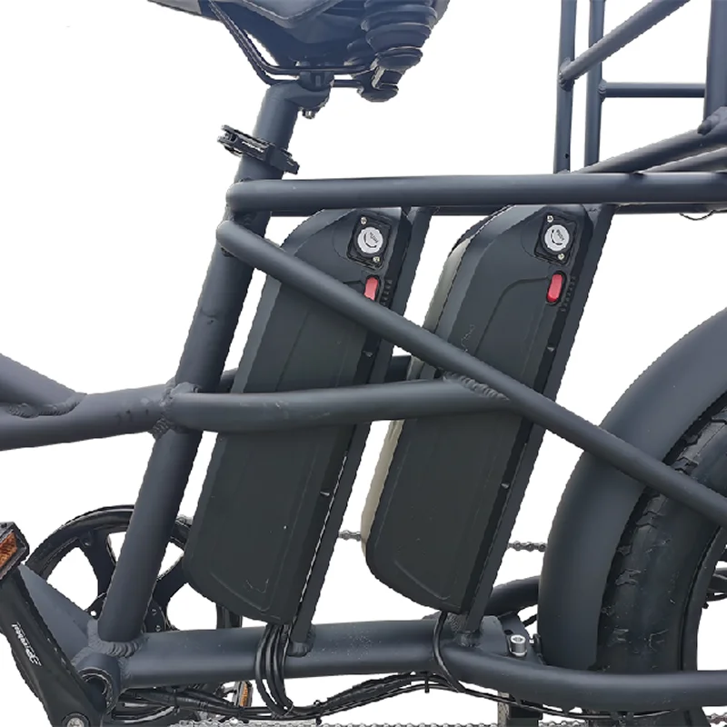 2-wheeler cargo bike electric double battery 40AH e bike big rear rack e-cargo family e bicycle 1000w