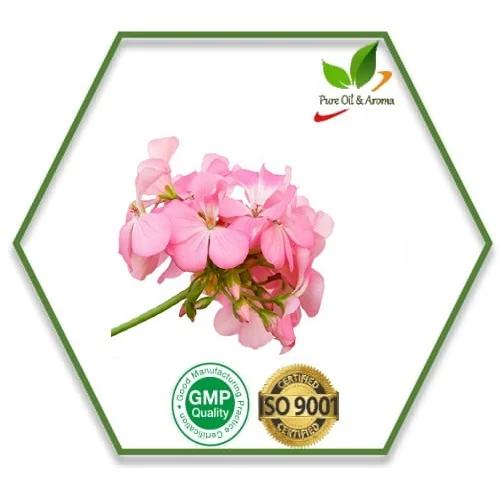 Manufacturers of Pure and Natural Geranium Oil with ISO Certification in Bulk Quantity at wholesale price