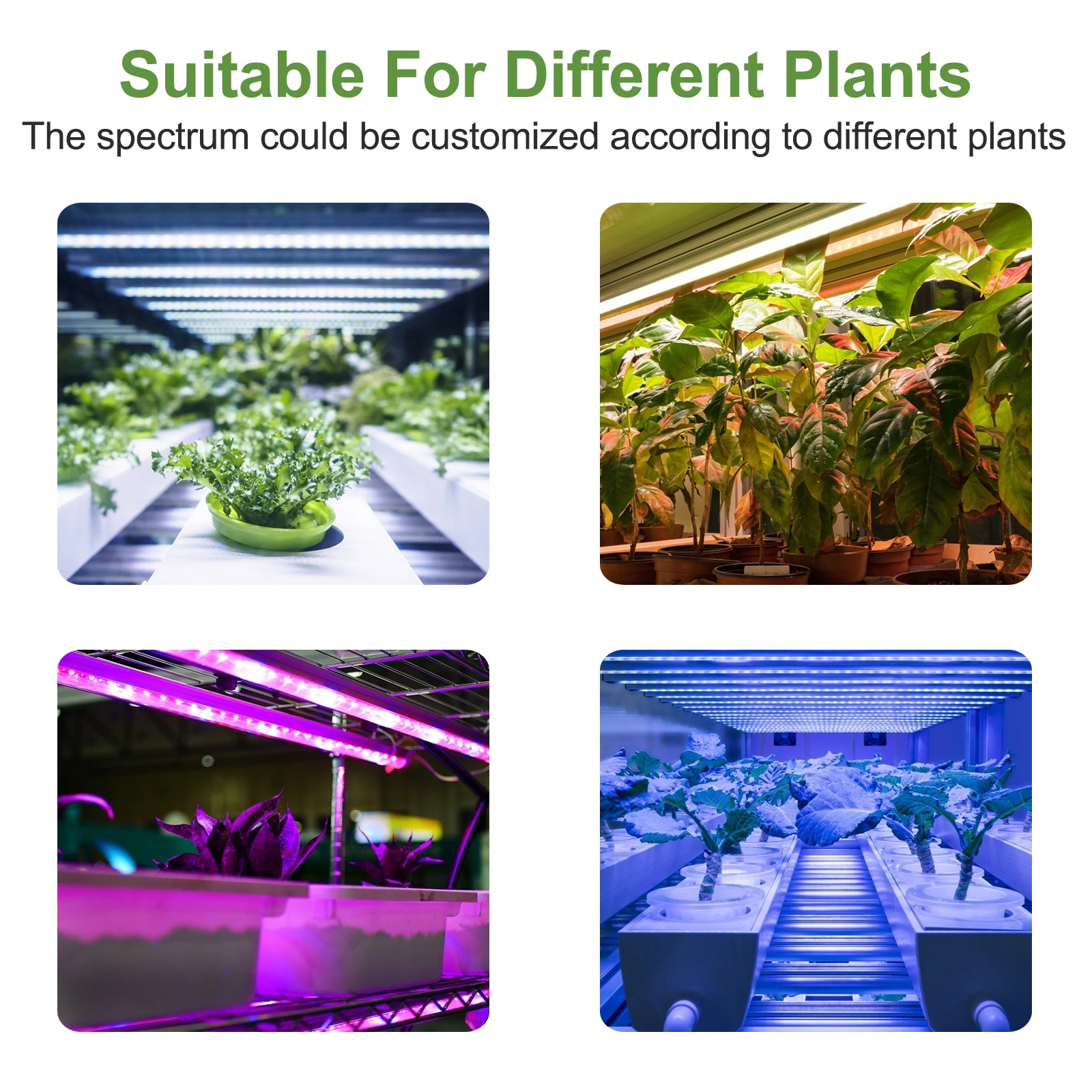 
Double Sided Growlight 640W Hps Plant Growth Light 301b Lm301b Vertical UV COB Led Grow Light Tube For Sale 