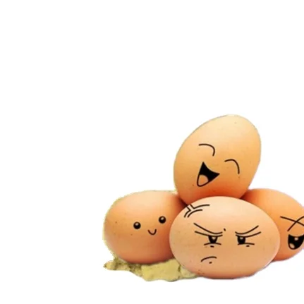 Egg powder 100% natural from fresh egg with certifications for export