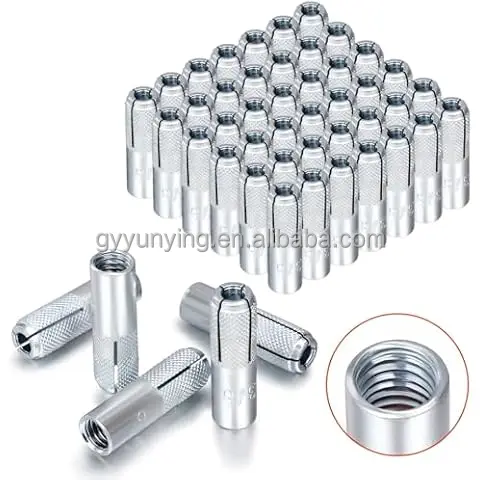304/316 Stainless Steel and Galvanized Carbon Steel Drop-In Expansion Anchor Bolts, Factory Customization Wholesale