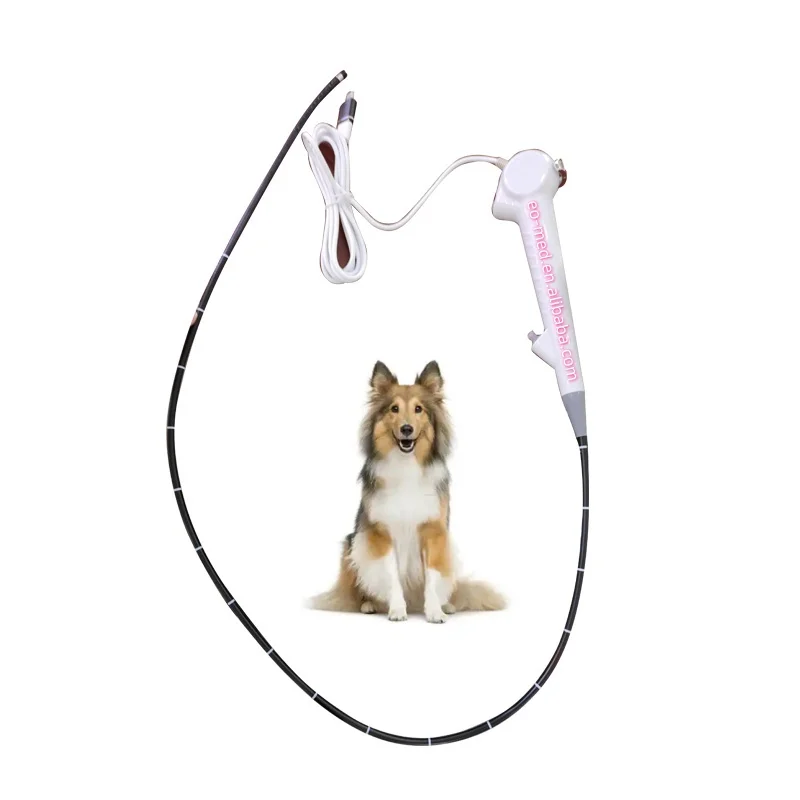 FVE10-vet Veterinary Flexible USB Endoscope video endoscope