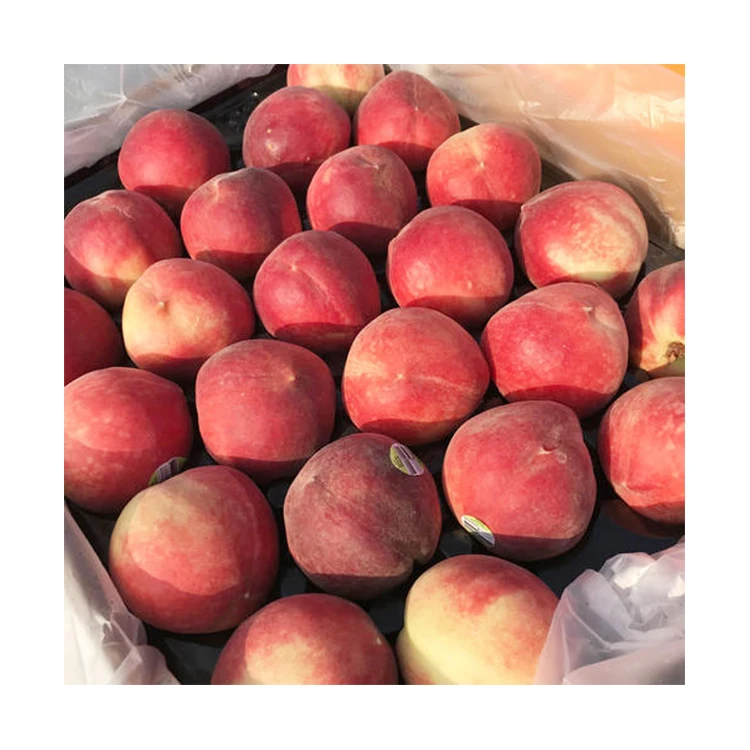 Factory Wholesale Natural Sweet Peach Delicious Fresh Peach For Sale (1600371106739)
