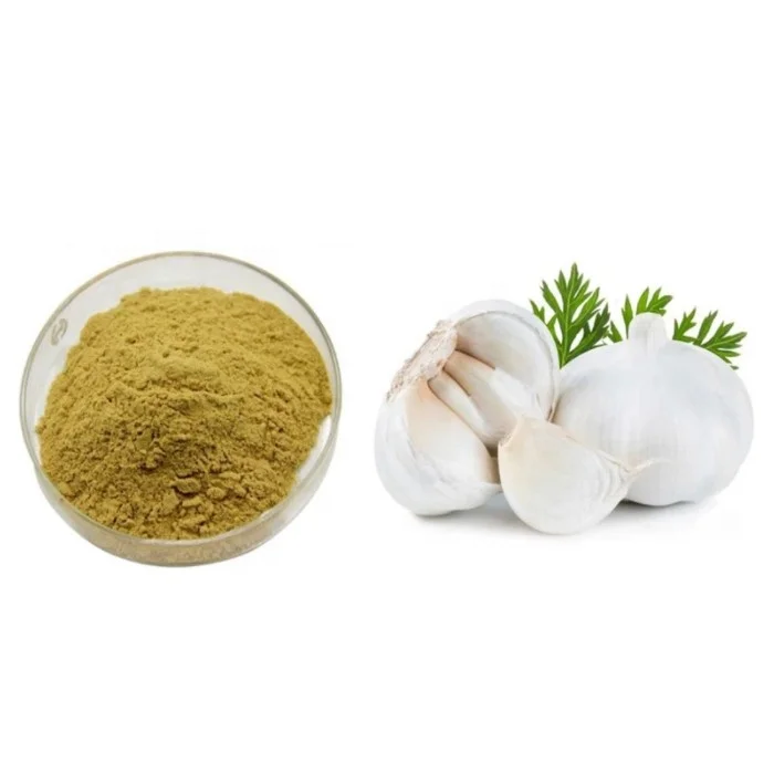 100% Natural Chinese Plant Garlic Herbal Extract Powder