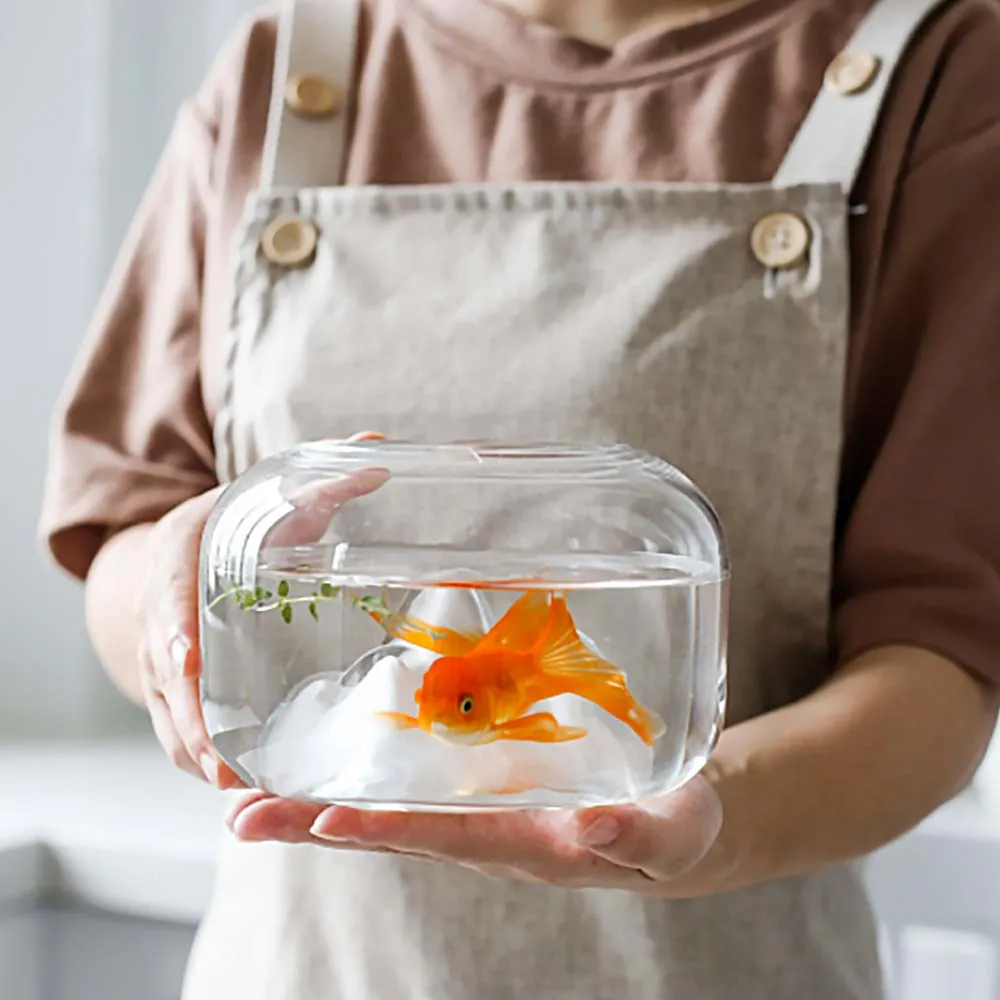 Wholesale Aquarium Creative Glass Circle Decoration Turtle Mini Fish Tank Tabletop Decoration