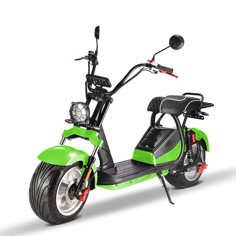 Upgraded 1500W Electric Scooter with all Aluminum Front Fork and EEC Certificate for 10 inch Electric Moped