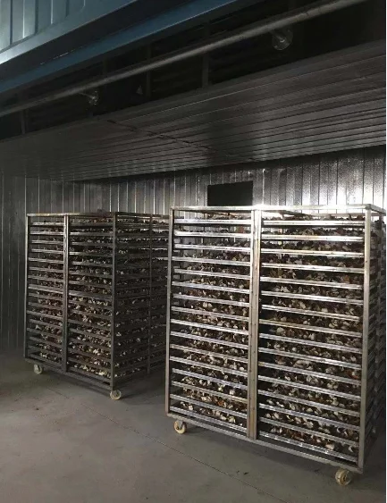 Energy saving wood drying chamber/lumber kiln/timber/log drying kiln for sale