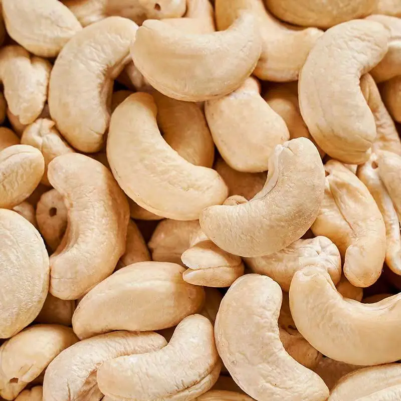 Wholesale High Quality Delicious 100% Natura Cashew Nuts Kernel W240