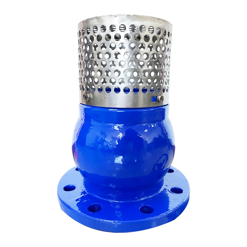 Поставщик клапанов DN50-DN300 фильтр ANSI PN10 PN16 чугунный корпус синий фланцевый ножной клапан подъемный