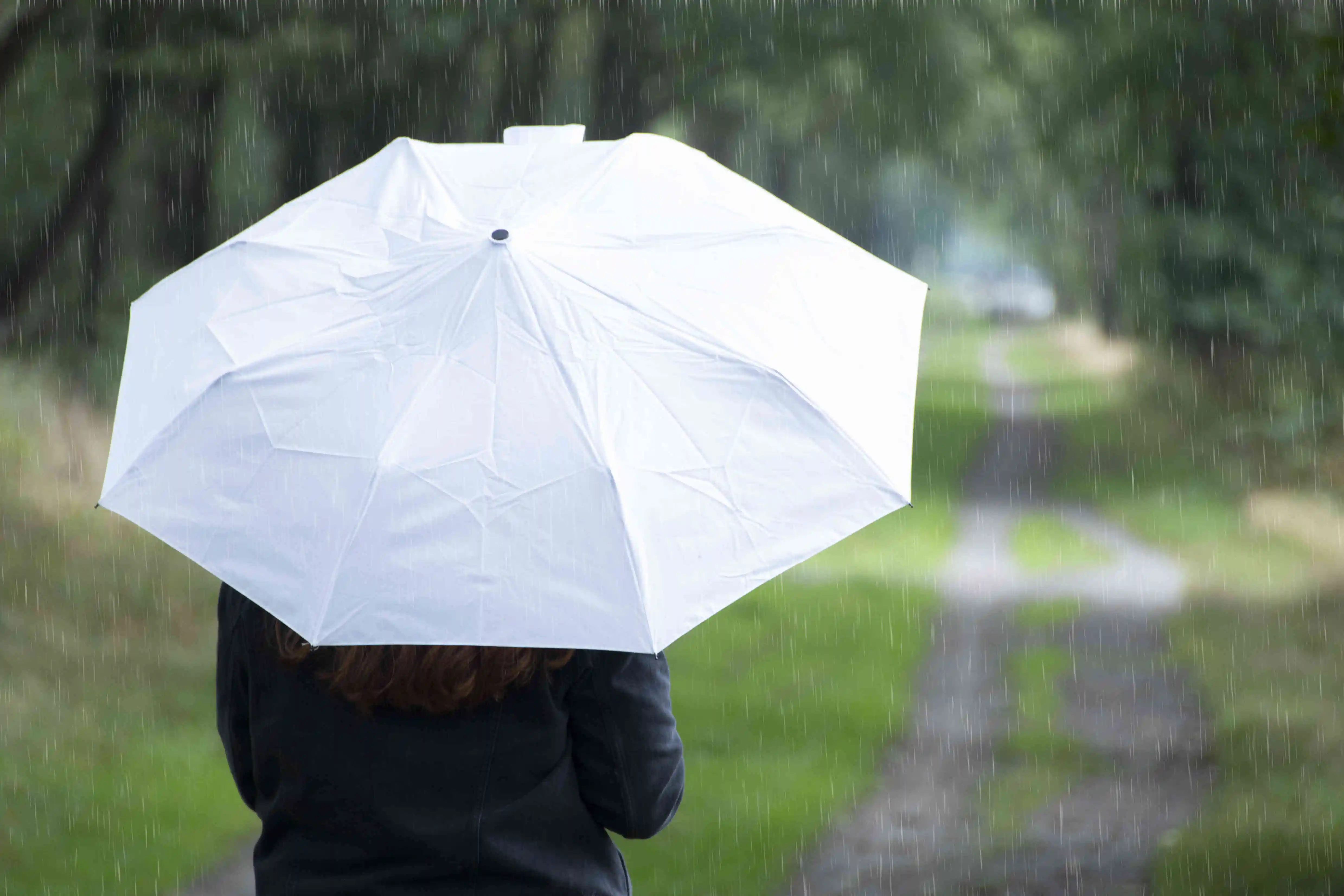 TP301 Esschert Design 30%off 21Inch 8K Fashion Custom Design Umbrellas Swan Handle Umbrella Foldable