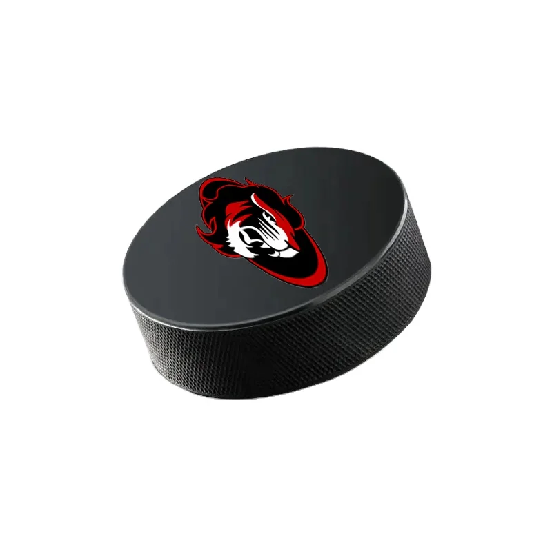 Cheap Price Rubber Ice hockey Pucks Black Professional Manufacturer